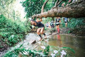 BIB: 
                            <button type="button" onclick="openModal(25516137)" class="btn btn-primary btn-sm float-right btn-popup" data-toggle="modal" data-target=".modal-high-quality">
                        <i class="fas fa-shopping-cart"></i> Add to Cart
                    </button>
                                            <button type="button" onclick="isThisMe(25516137, true)" class="btn btn-success btn-sm float-right btn-popup btn-isme hidden" data-toggle="tooltip" data-placement="bottom" title="นี่คือรูปของคุณใช่ไหม คลิกที่นี่เพื่อเอาเข้าอัลบั้ม">
                        <i class="fas fa-plus"></i> Add to album
                    </button>
                    <button type="button" onclick="isThisMe(25516137, false)" class="btn btn-warning btn-sm float-right btn-popup btn-isnotme hidden">
                        <i class="fas fa-ban"></i> Remove from album
                    </button>